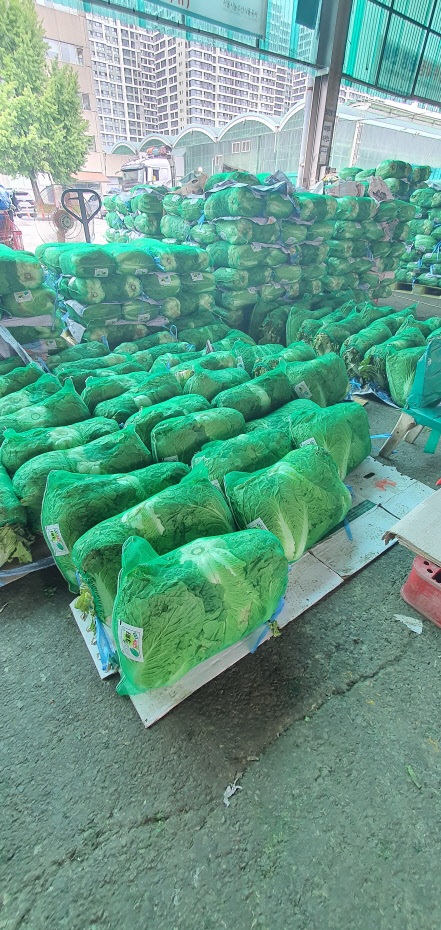 11일 서울 송파구 가락동농수산물시장에 배추 제품이 쌓여 있다. 사진= 김수연 기자